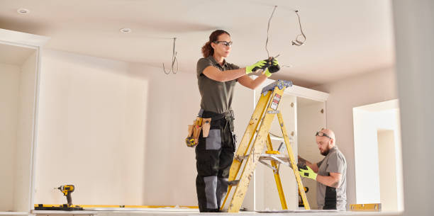 Best Electric Panel Repair  in Sussex, WI